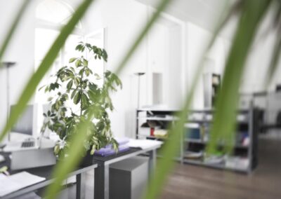 Sehstoff Agentur Teamwork