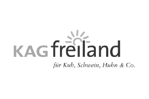 Logo 26