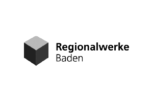 Logo 13
