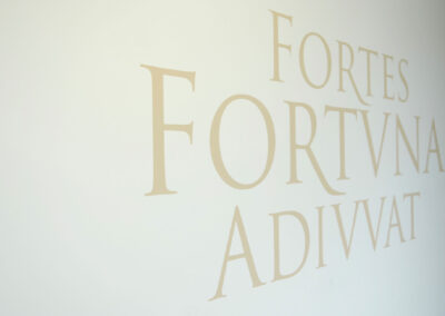 Sehstoff Agentur Baden Marketing Webdesign