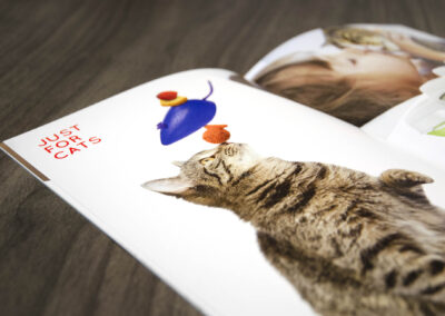 Sehstoff Agentur Baden Marketing Webdesign